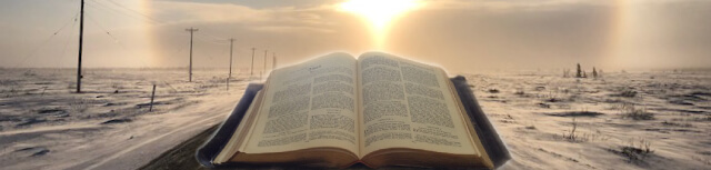 Page Banner