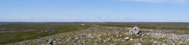 Page Banner